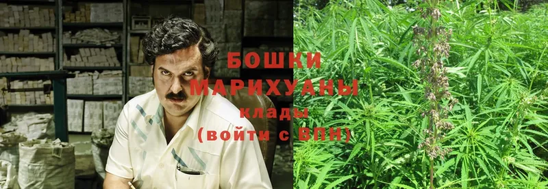 блэк спрут сайт  Нефтекумск  Шишки марихуана Bruce Banner 